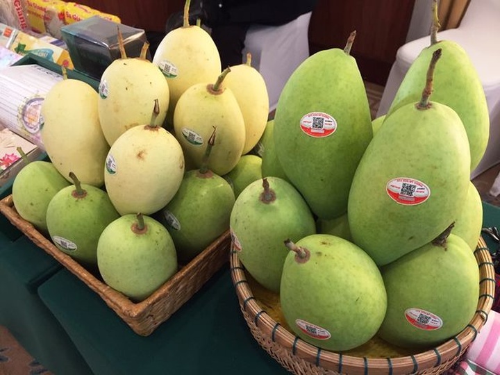 Doanh nghiệp cần làm gì khi bước vào thị trường “màu mỡ” như EU? - 4