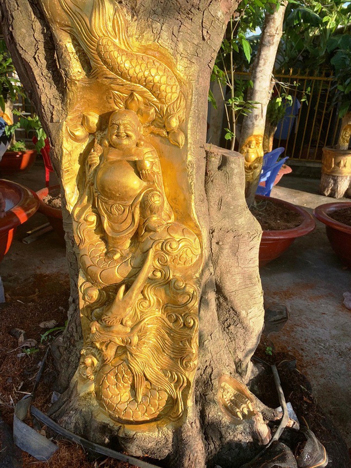 Anh Việt cho biết giá cây dát vàng rẻ nhất là 5 triệu và cao nhất là 80 triệu