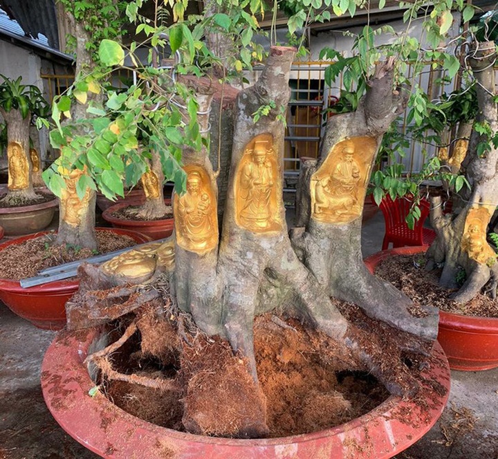 Bộ ba vị thần Phúc - Lộc - Thọ được anh Việt chạm trên gốc khế rất sắc sảo