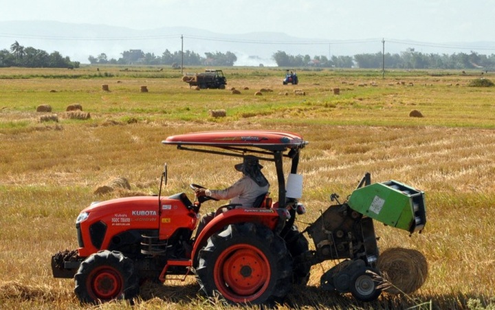 Đội nắng 40 độ C, nông dân kiếm tiền từ nghề cuộn rơm thuê - 1