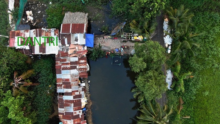 Dự án “treo” cả thập kỷ tại TPHCM: Sài Gòn gì mà nhìn cực hơn xứ U Minh - Ảnh 1.