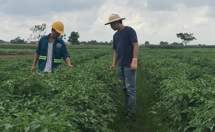 Du học sinh 9X bỏ lương nghìn USD về quê chế biến nông sản sạch - 2