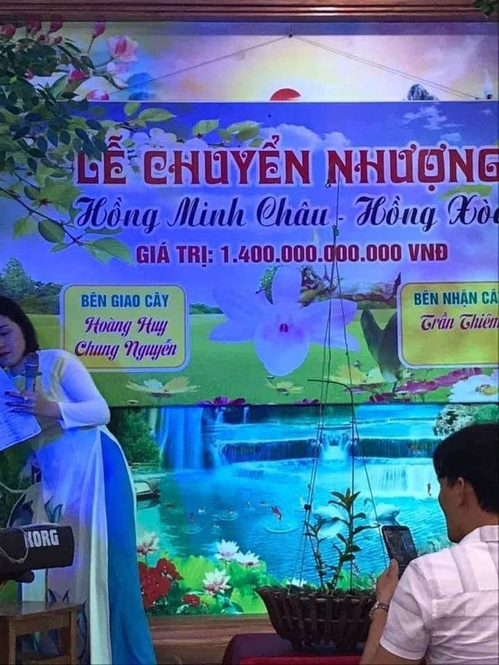 Đua nhau bịa giá trên trời, người chơi lan khiến thị trường náo loạn - 1