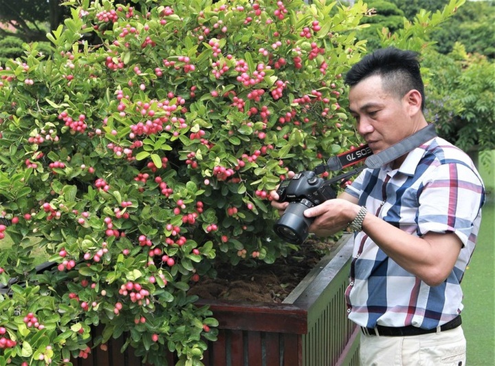 Đua nhau bịa giá trên trời, người chơi lan khiến thị trường náo loạn - 3