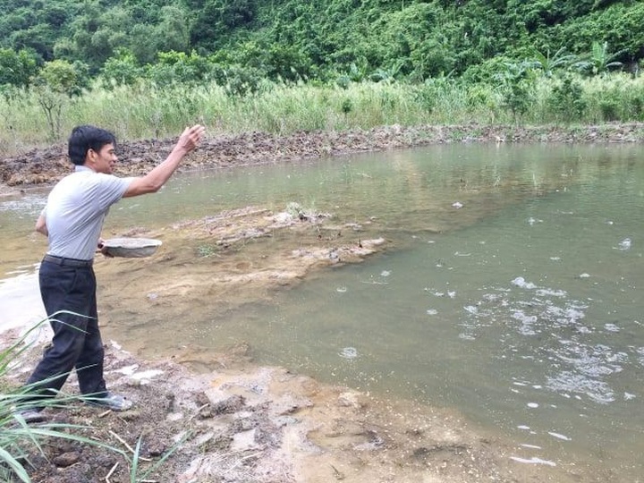 Đút túi 200 triệu đồng/năm dễ như “trở bàn tay” nhờ ...cá rô “tiến Vua” - 3