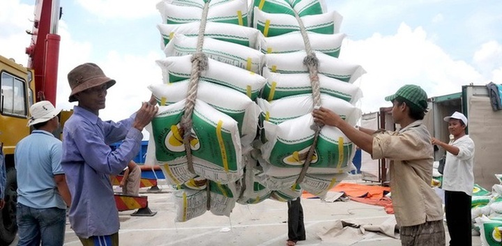 Gạo đầy kho, DN và các tỉnh đề xuất cho xuất khẩu trở lại - 2