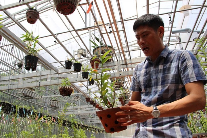 Gặp người mua 3 cây lan đột biến gene giá 32 tỷ đồng ở Bình Phước - 1