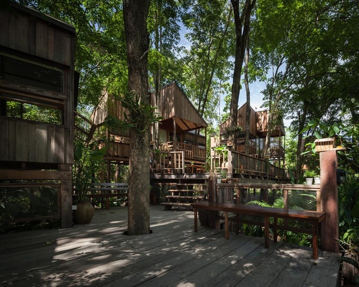 Gia đình chờ 30 năm để cây lớn thành rừng rồi mới xây nhà - 1