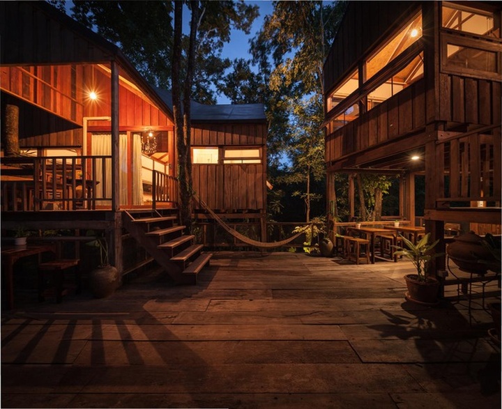 Gia đình chờ 30 năm để cây lớn thành rừng rồi mới xây nhà - 4