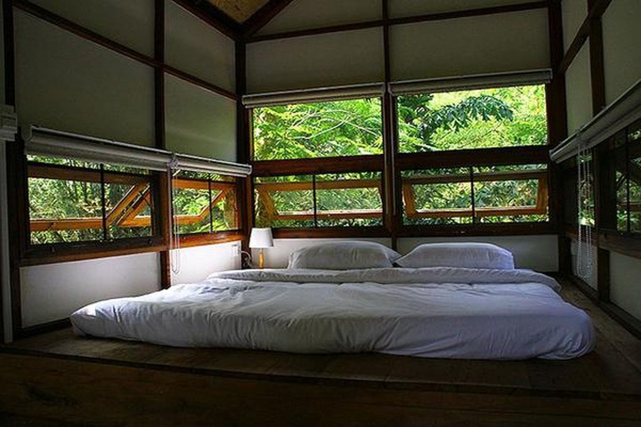 Gia đình chờ 30 năm để cây lớn thành rừng rồi mới xây nhà - 5