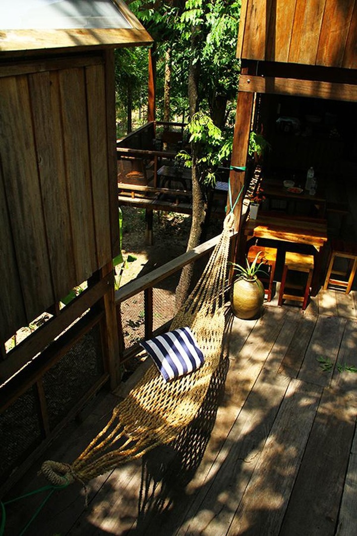 Gia đình chờ 30 năm để cây lớn thành rừng rồi mới xây nhà - 8