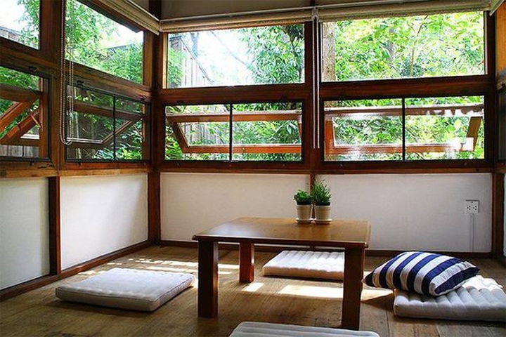 Gia đình chờ 30 năm để cây lớn thành rừng rồi mới xây nhà - 9