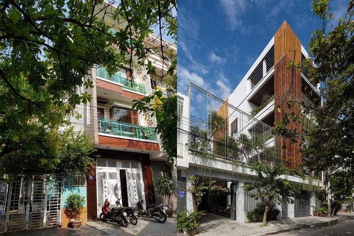 Gia đình Nha Trang đập thông 2 căn nhà thành nơi nuôi cá và trồng rau - 1