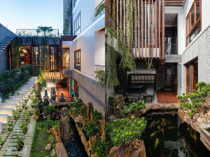 Gia đình Nha Trang đập thông 2 căn nhà thành nơi nuôi cá và trồng rau - 3