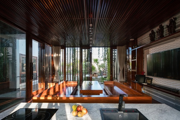 Gia đình Nha Trang đập thông 2 căn nhà thành nơi nuôi cá và trồng rau - 6