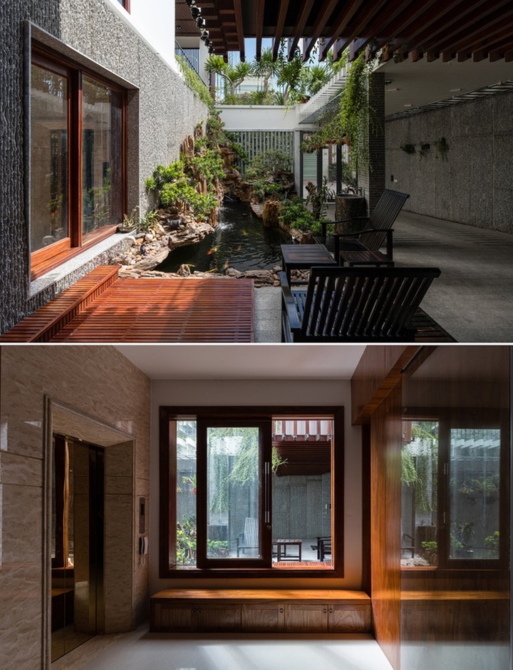 Gia đình Nha Trang đập thông 2 căn nhà thành nơi nuôi cá và trồng rau - 7