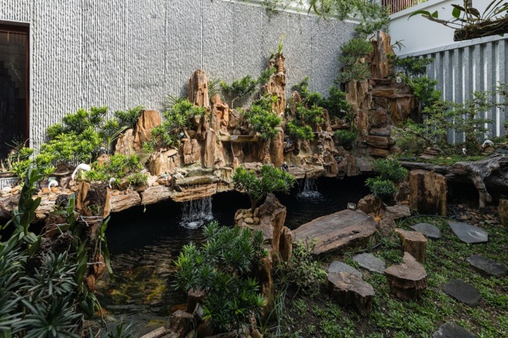 Gia đình Nha Trang đập thông 2 căn nhà thành nơi nuôi cá và trồng rau - 8