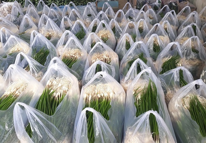 Giá kiệu Tết tăng cao, nông dân phấn khởi thu lãi tiền triệu mỗi sào - 3