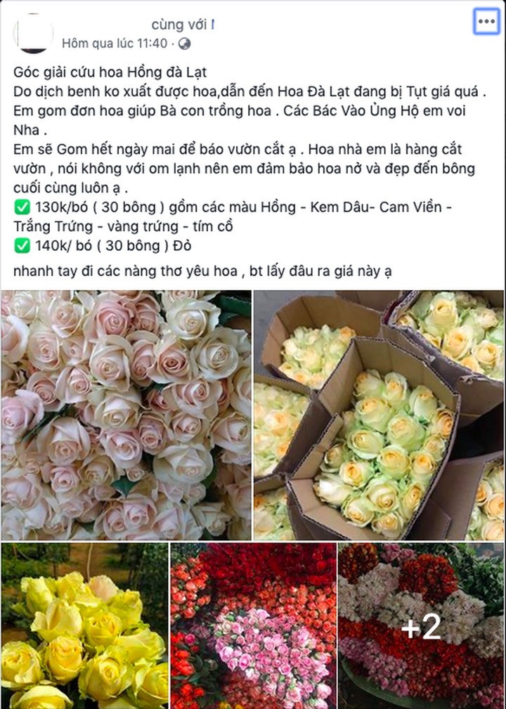 “Giải cứu” tôm hùm lãi 400 nghìn đồng/kg: Thực chất là giải cứu nhà hàng? - 1