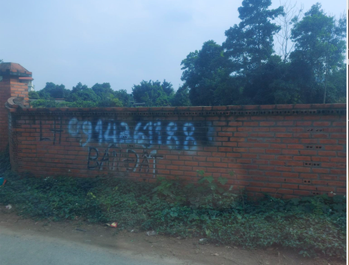 Hà Nội: Dân trẩy hội buôn đất Ba Vì - 5