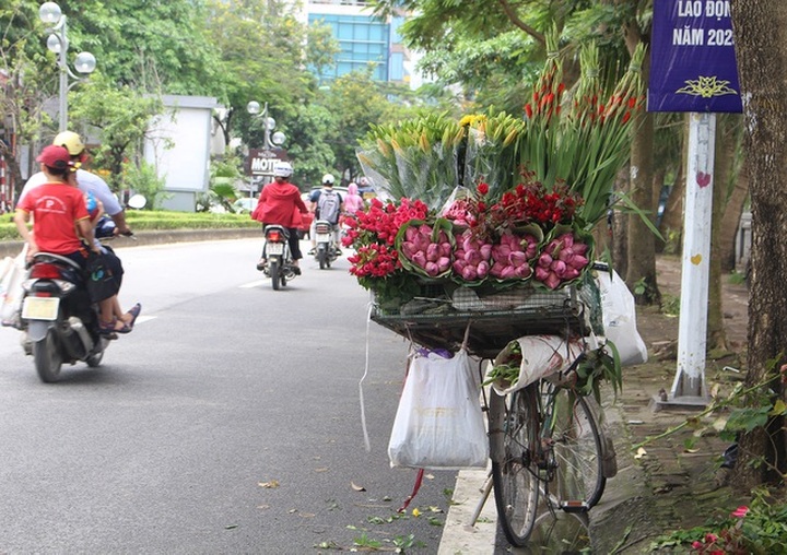 Hà Nội: Hoa sen xuống phố, thơm ngát cả vùng trời! - 1