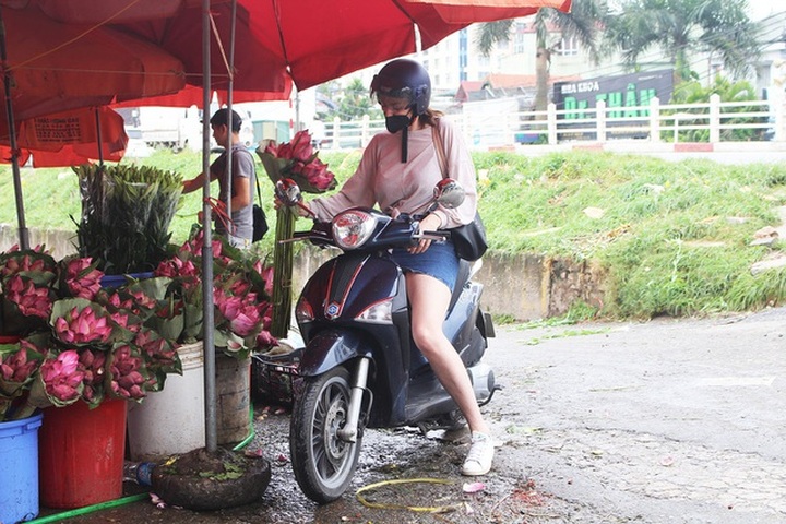 Hà Nội: Hoa sen xuống phố, thơm ngát cả vùng trời! - 4