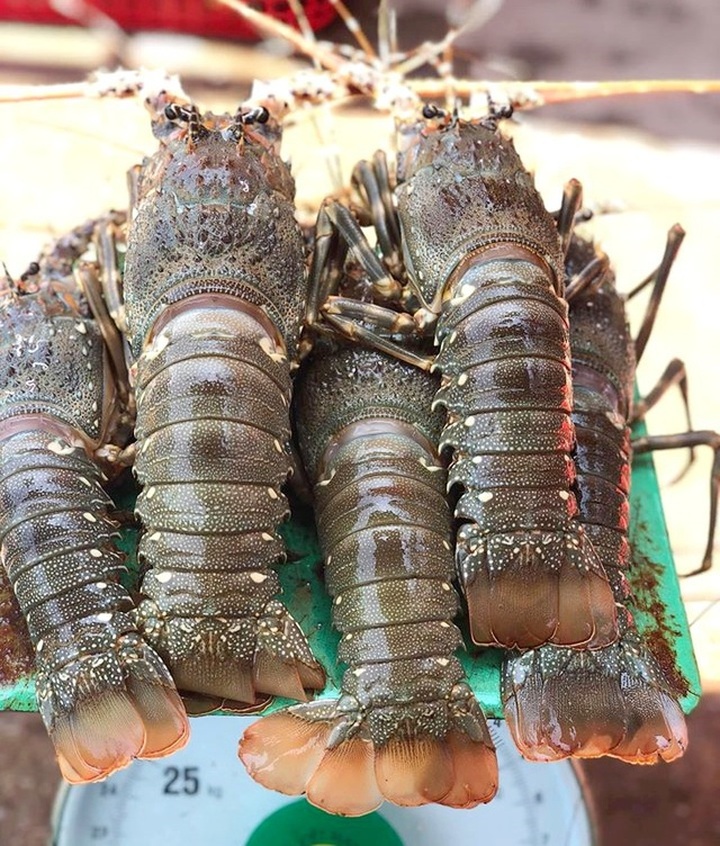 Hà Nội: Phát sốt vì dịch vụ lạ chưa từng thấy của khách sạn siêu sang - 2