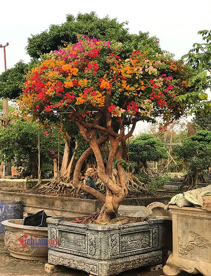 Hàng độc lạ mùa Noel: Bỏ 4,5 triệu đồng chỉ để vui vẻ 1 đêm - 1