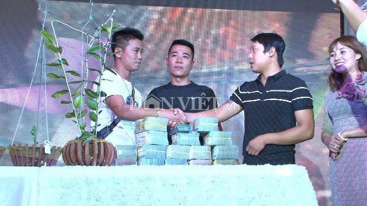 Hàng khủng Lâm Đồng: Chậu lan Giả hạc đột biến bán giá 5 tỷ đồng - 1