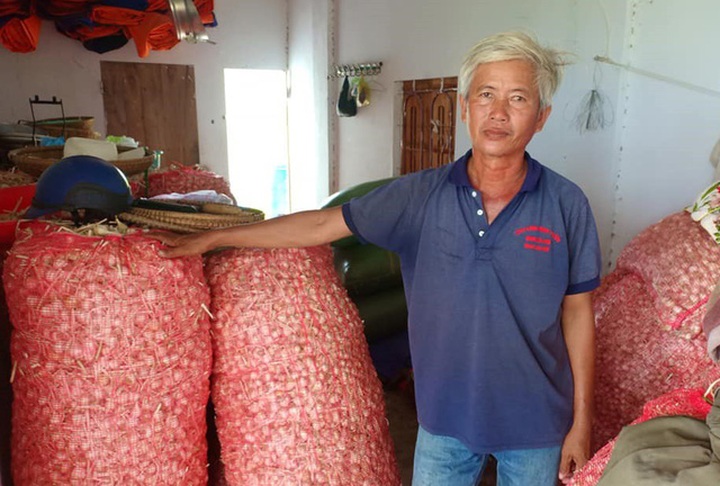 Về lâu dài người dân trồng tỏi ở Khánh Hòa cần một giải pháp căn cơ, đầu ra ổn định hơn
