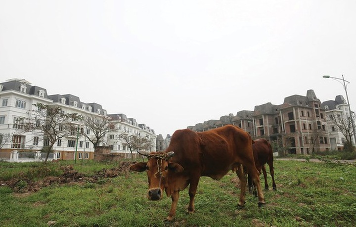 Hé lộ khoản chi phí “nhạy cảm”, khó nói của giới đại gia bất động sản - 1