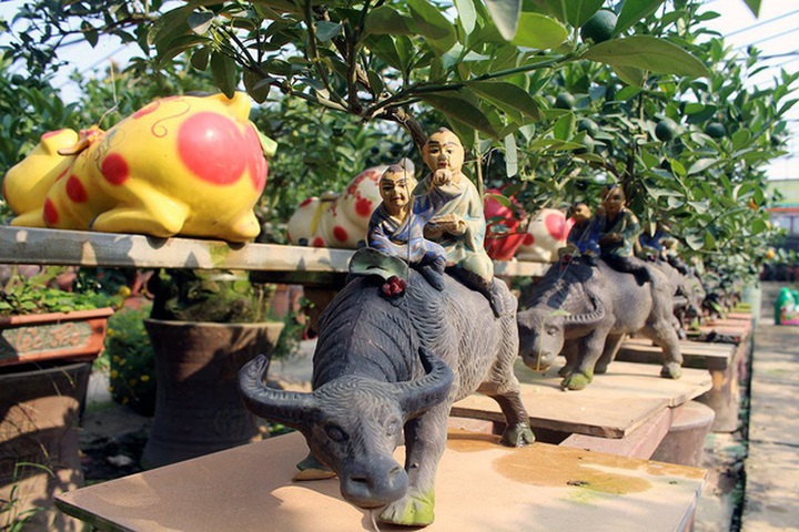 Ngoài những chú heo cõng quất bonsai, trong trong vườn nhà anh Mạnh còn nhiều mẫu hình độc đáo khác.