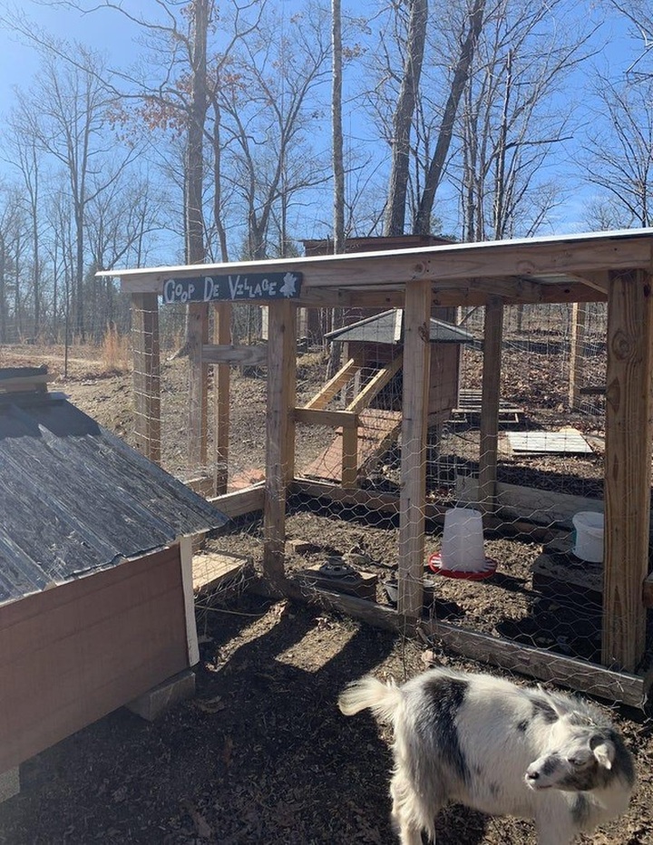 Hi hữu: Cặp vợ chồng Mỹ xây cả một ngôi làng tí hon cho con ở riêng - 14