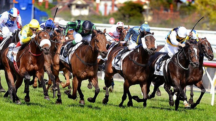 UBND tỉnh Phú Yên đề xuất chấp thuận chủ trương kinh doanh có cá cược đua ngựa, đua chó cho dự án Trường đua ngựa Phú Yên.