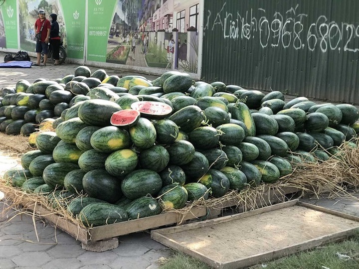 Hoa quả siêu rẻ tràn vỉa hè: Người tiêu dùng cẩn thận tránh sập bẫy - 9