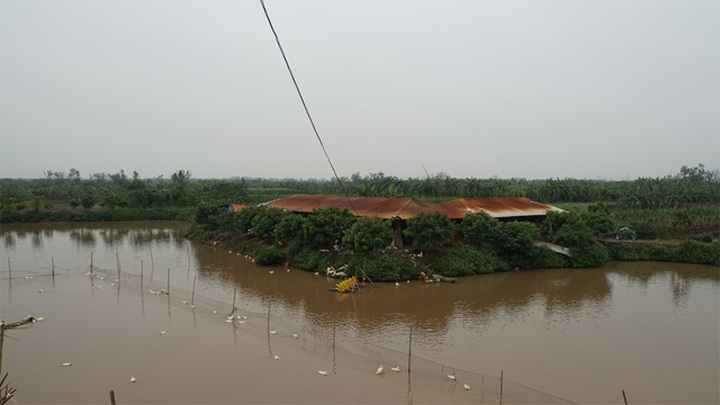 Khi có ngập lụt, dự án sân golf cạnh sông Đuống ứng phó như thế nào? - 2