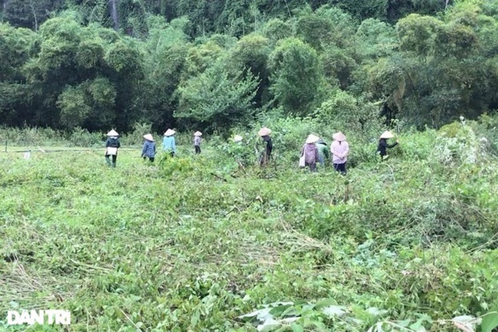 Khởi tố vụ án một hộ dân bị hàng xóm hủy hoại tài sản - 1