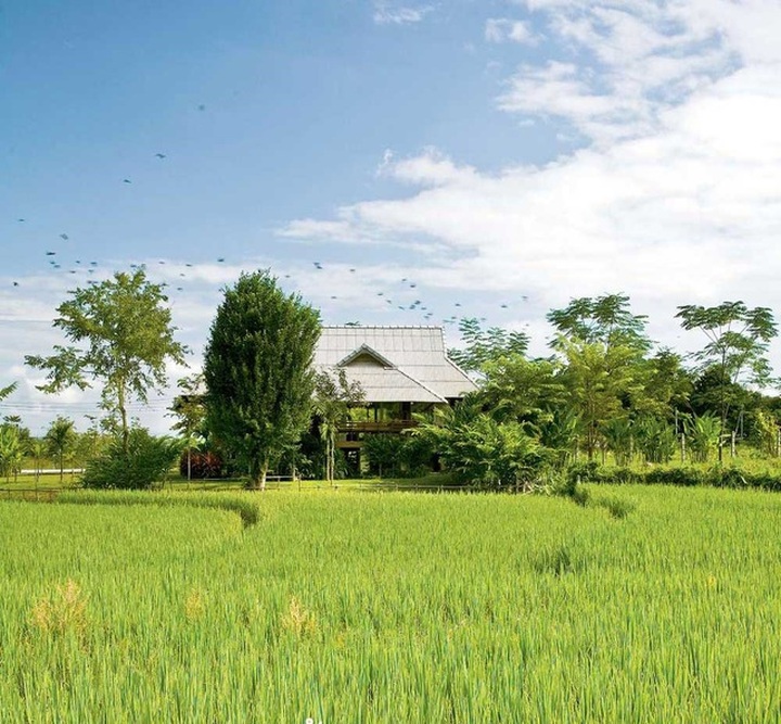 Không cần biệt thự hoành tráng, nhà cấp 4 ở quê vẫn vừa đẹp vừa chất - 2