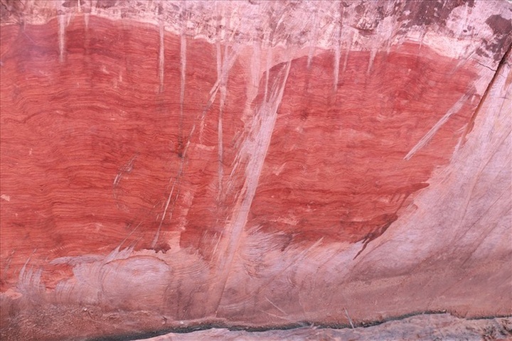 Khúc gỗ bỏ xó trong vườn, ngỡ ngàng khi biết giá trị thật - 2