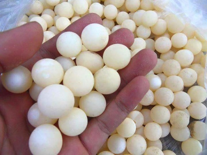 Kinh hãi với những món ăn tẩm bổ của nhà giàu Việt - 4