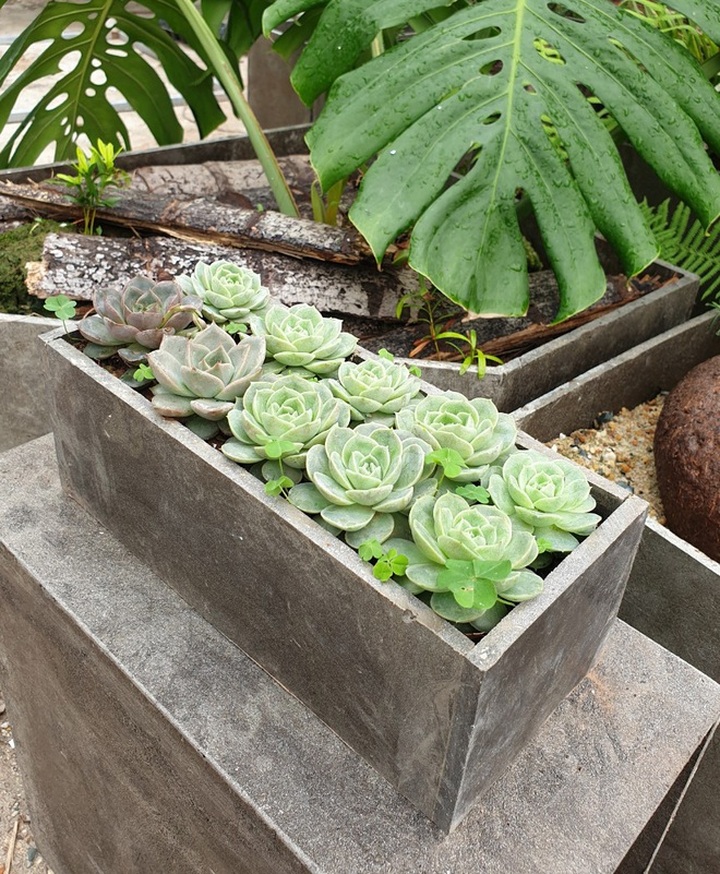 Lái ô tô nhặt vỏ hộp sữa về tái chế: Kiến trúc sư biến rác thành tiền - 4