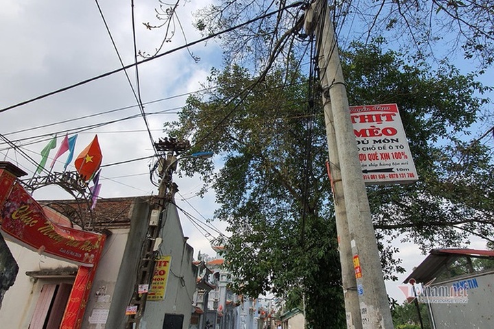 Làng doanh nhân nức tiếng một thời, bất ngờ biến thành làng tiểu hổ - 5