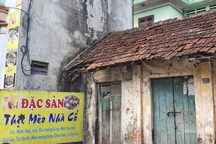 Làng doanh nhân nức tiếng một thời, bất ngờ biến thành làng tiểu hổ - 6