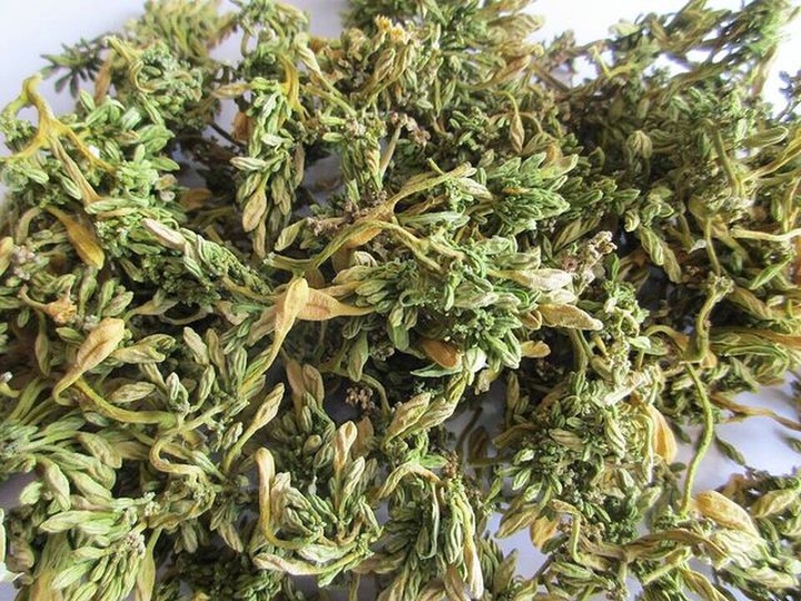 Loại hoa thường cắt bỏ đi sấy khô thành đặc sản 1,5 triệu đồng/kg - 2