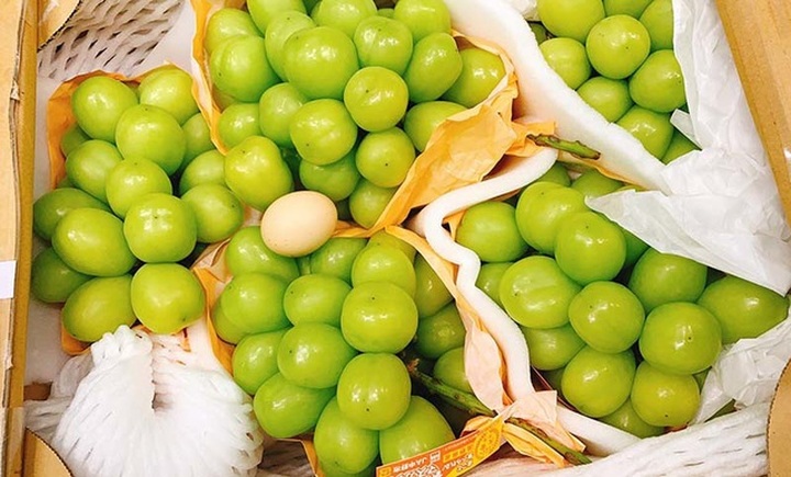 Loại nho to hơn trứng gà: Giá 7 triệu đồng/chùm, có tiền khó mua - 2
