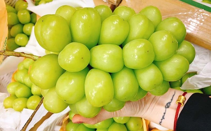 Loại nho to hơn trứng gà: Giá 7 triệu đồng/chùm, có tiền khó mua - 5