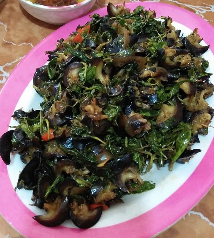 Loại ốc cạn “nhan nhản” khắp vườn, nơi cho không ai lấy, chỗ lại đắt hơn vàng - 4