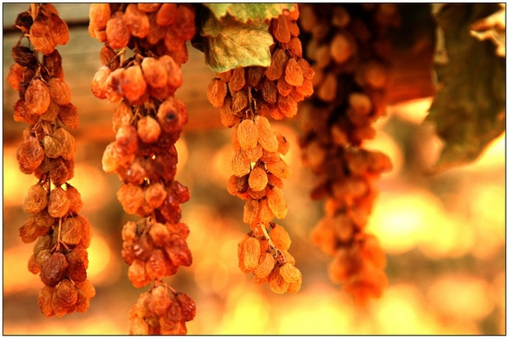 Loạn giá và chất lượng nho khô nguyên cành nhập Úc - 1