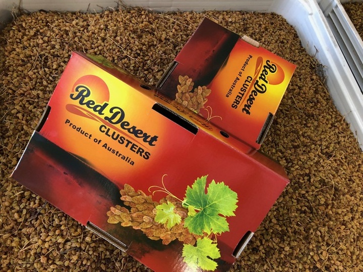 Loạn giá và chất lượng nho khô nguyên cành nhập Úc - 2