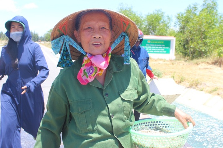 Lộc biển bất ngờ, ngư dân hối hả “cướp nắng” kiếm tiền triệu - 1